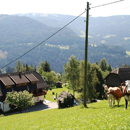 Ferienwohnung Lahnerhof Arriach Extérieur photo