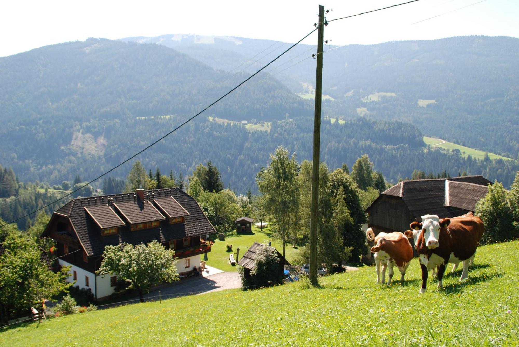 Ferienwohnung Lahnerhof Arriach Extérieur photo