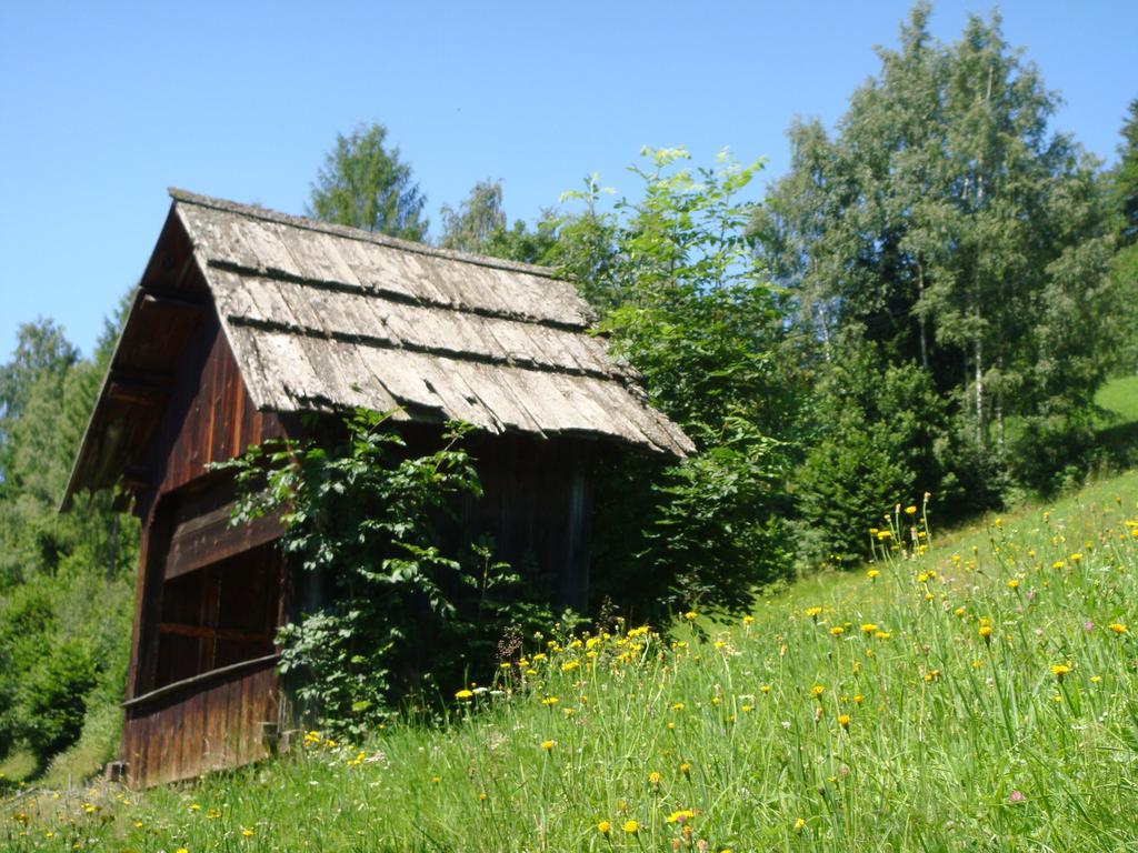 Ferienwohnung Lahnerhof Arriach Extérieur photo